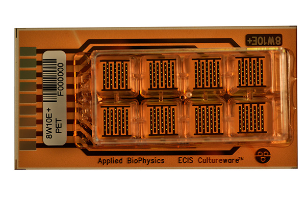 8 Well Standard Arrays