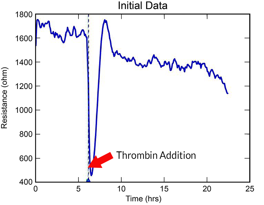 ECIS Theory Modeling