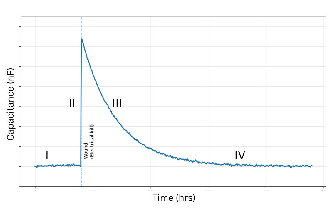 NRK Wounded Labeled1 Graph