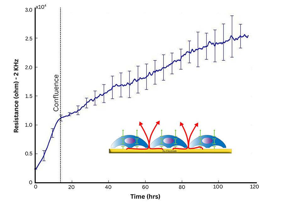 Resistance What Is ECIS