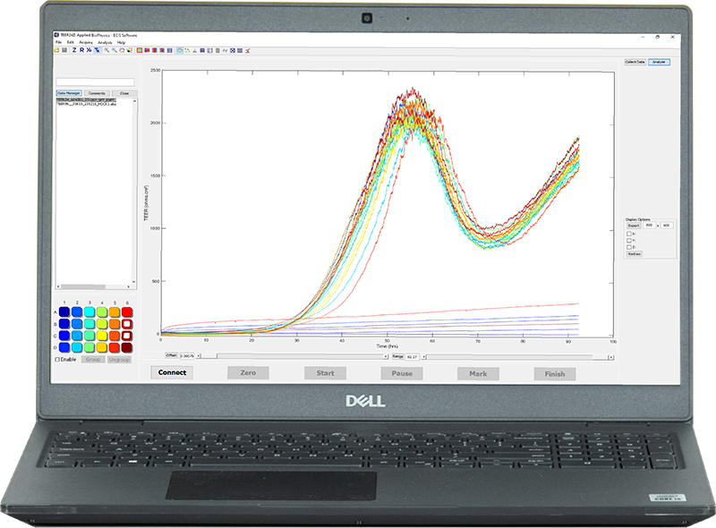 TEERZ Screen With Laptop