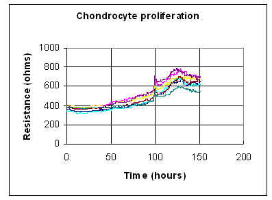 Chondrocyte Proliferation