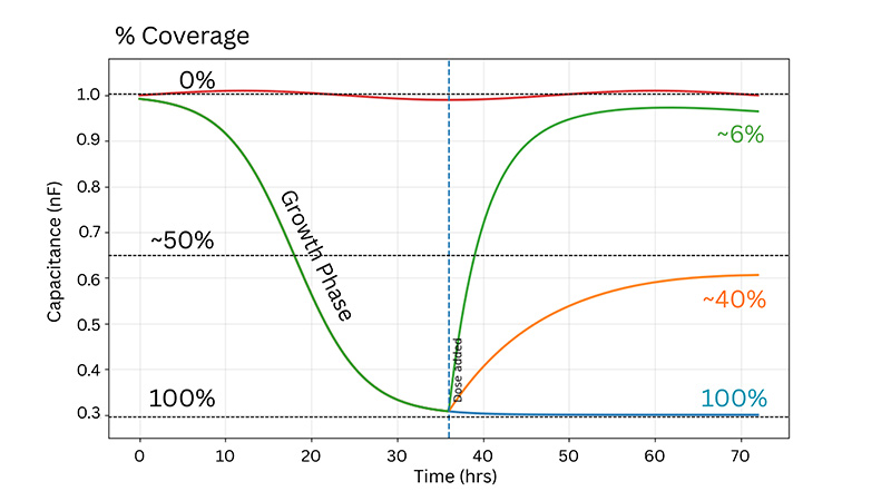 Cytotoxicity Graph With Dose Response Model