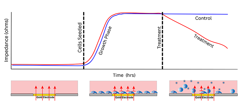 Impedance Graph Model
