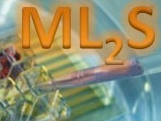 ML2S Logo